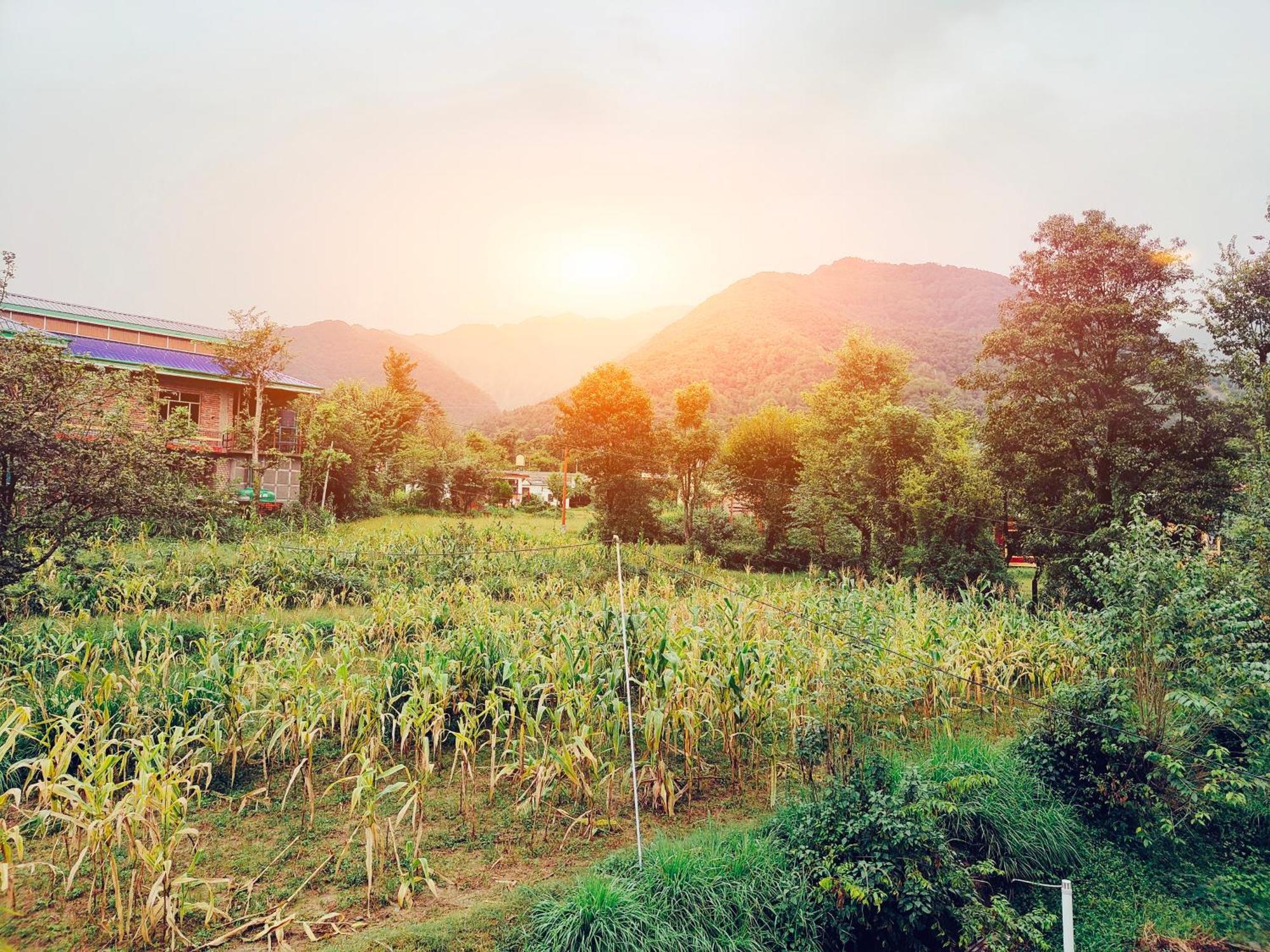Aditya Homestay Bir-Billing Surrounded By Mountains Екстериор снимка